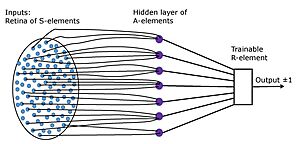 Elementary perceptron