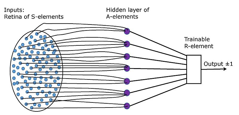 Elementary perceptron