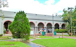 Walter Mck Jones School in Villalba barrio-pueblo