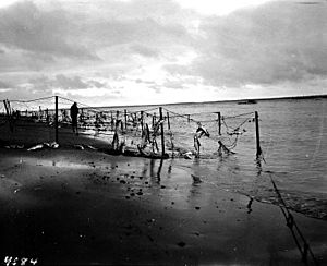 Eskimo fish traps, Egegik, Alaska, 1917 (COBB 291)