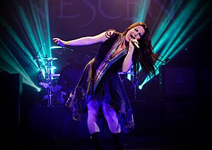 Evanescence at The Wiltern theatre in Los Angeles, California 02