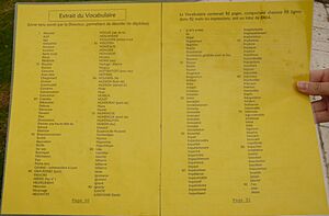 ExtraitDuVocabulaire