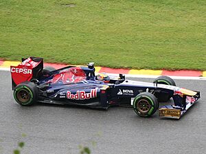 FIA F1 Belgium 2013 Nr. 18 Vergne