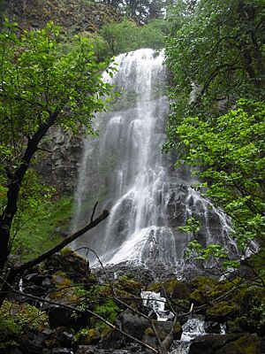 Fall Creek Falls - panoramio.jpg