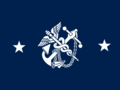 Flag of the United States Deputy Surgeon General