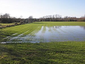 Flooded field, Screech Owl Farm (geograph 3812031)