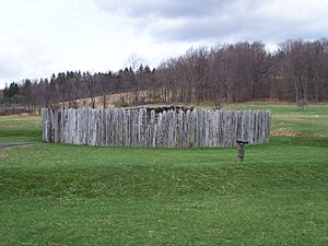 FortNecessity