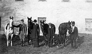 Horses in front of stables. (b14565be-b4ad-4939-a3e9-f52a40df7e07)