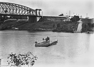 Indooroopilly ferry crossing the Brisbane River, 1906