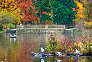 Jesienny Park Poludniowy