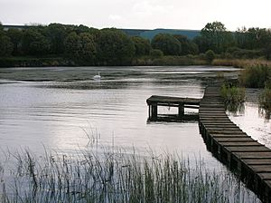 Lagoon at south end of Kilbirnie Loch