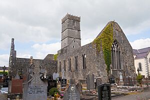 Loughrea Priory SE 2009 09 17