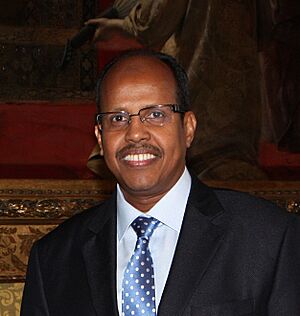 Mahamoud Ali Youssouf.jpg