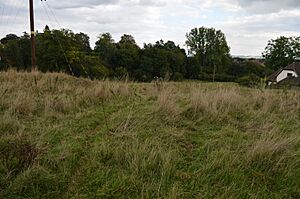 Maulden Church Meadow 5
