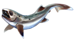 Mcnamaraspis.png