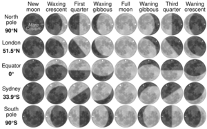 Moon phases by latitude