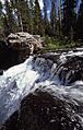 MooseFallsBrinkYNP