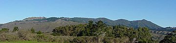 Mount Tamalpais.jpg