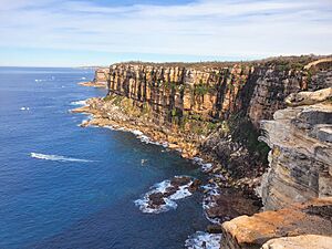 North Head Cliff Tops