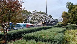 O-Bahn tunnel in Rymill Park, Adelaide cropped