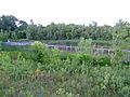 OSUWetland1