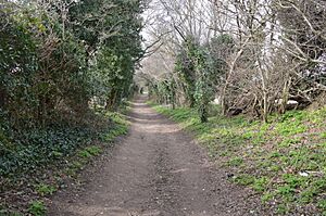 Oughtonhead Lane 3