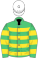 Owner Mr John P McManus