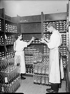 Penicillin Production at the Royal Navy Medical School, Clevedon, Somerset, 1944 A25174