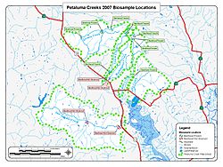 Petaluma River Watershed 2007 Steelhead Survey