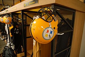 Pittsburgh Steelers throwback helmet 2007