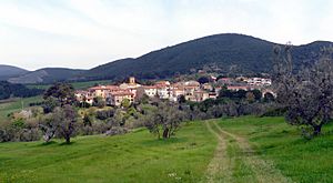 View of Pomaia