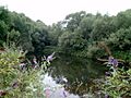 Remains of Ketley Canal - geograph.org.uk - 1079471