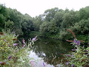Remains of Ketley Canal - geograph.org.uk - 1079471.jpg