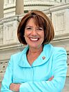 Representative Susan Davis Official Portrait