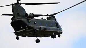 Riat 2023 - Royal Air Force - Chinook display Team NZ9 7075 (53070440628)