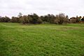 Rock Edge Nature Reserve - geograph.org.uk - 1580312