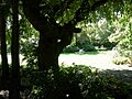 Seattle - Parsons Gardens 02
