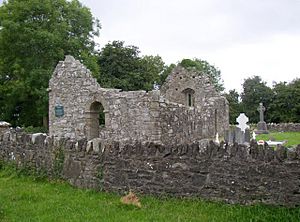 Sheepstown ruined church, Knocktopher, Co. Kilkenny - geograph.org.uk - 207631.jpg