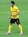 Shinji Kagawa'14