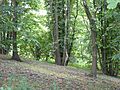 Sinks Valley, Kesgrave 3