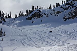 Snowmobling onrabbitearspass