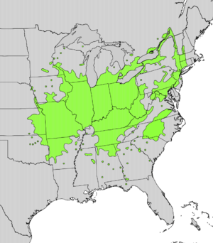 Staphylea trifolia range map.png