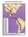 Swainson's hawk migration route