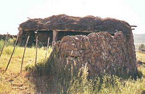TINAO EN S. MARTIN DE LA VEGA DEL ALBERCHE