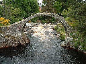 The bones of a bridge