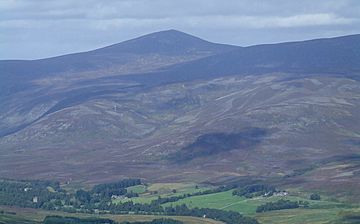 The view into Glen Esk, From West Knock - geograph.org.uk - 566327.jpg