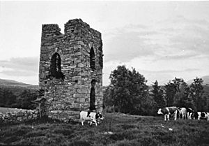 Tower at Coolhill, Co. Kilkenny - geograph.org.uk - 1104747