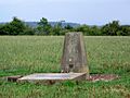 Triangulation Pillar, Summerslade Down - geograph.org.uk - 1401695