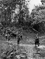 Troops of the 32d Division near Saidor
