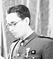 Uuanniversaalteinad (cropped)